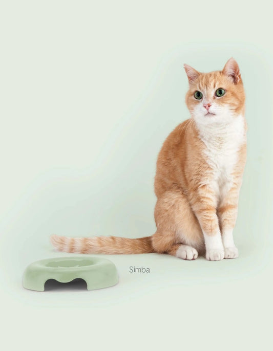 GAMELLE POUR CHATS - Matcha