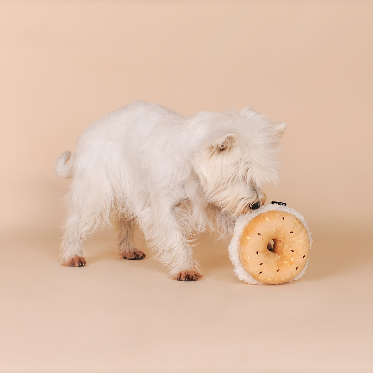 JOUET D’OCCUPATION - Bagel