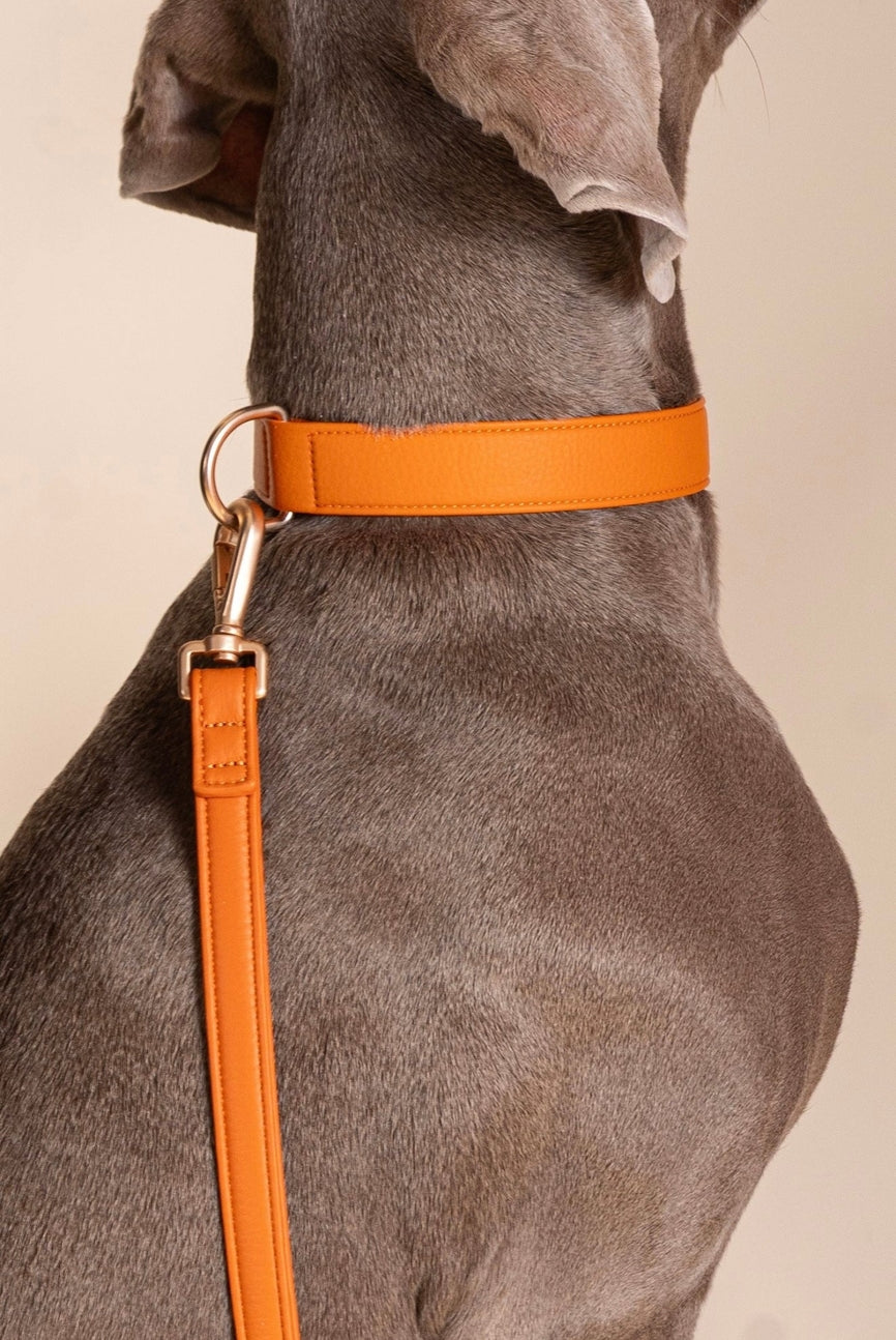 COLLIER EN MICROFIBRE VÉGÉTAL - Terracotta
