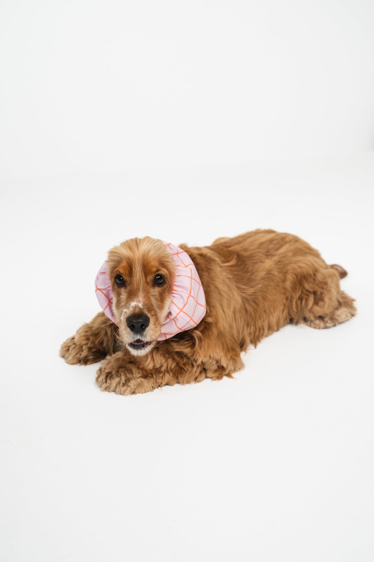 SNOOD EN COTON - Summer lines