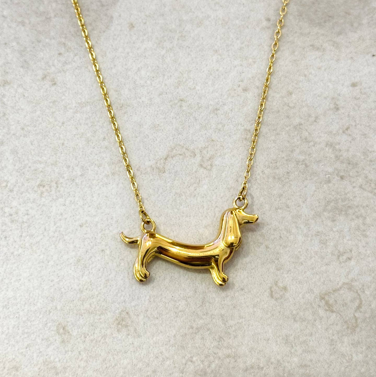 COLLIER TECKEL - Acier inoxydable