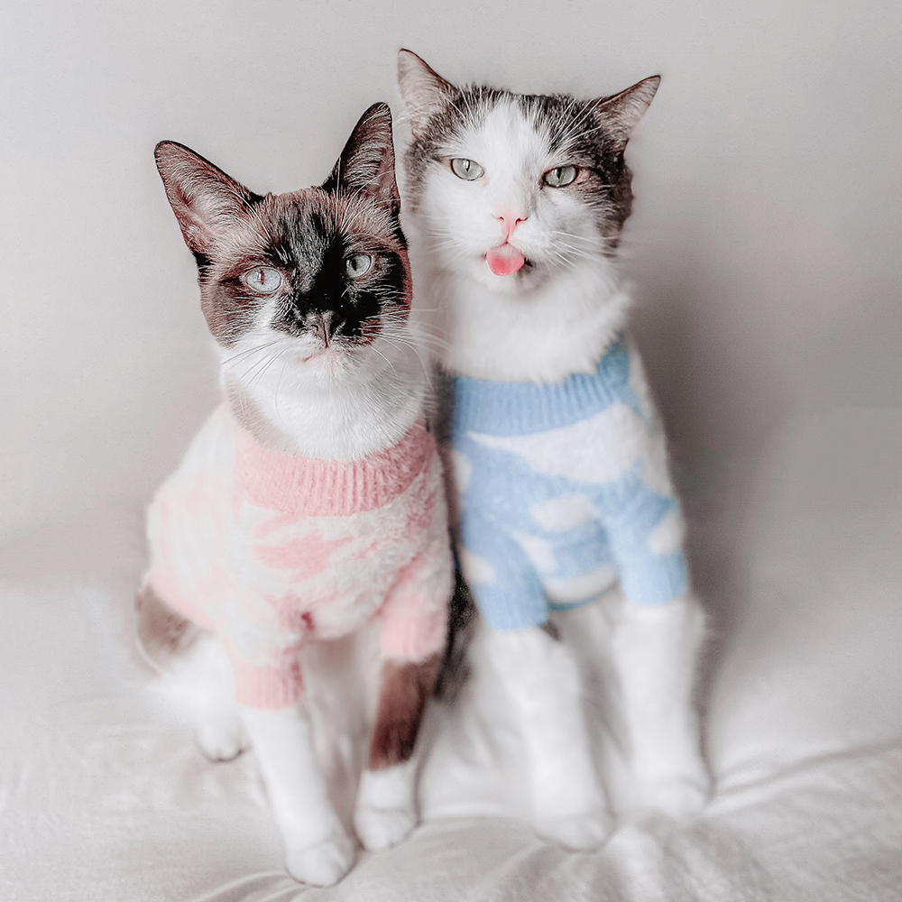 PULL POUR CHIENS ET CHATS - Nuage bleu