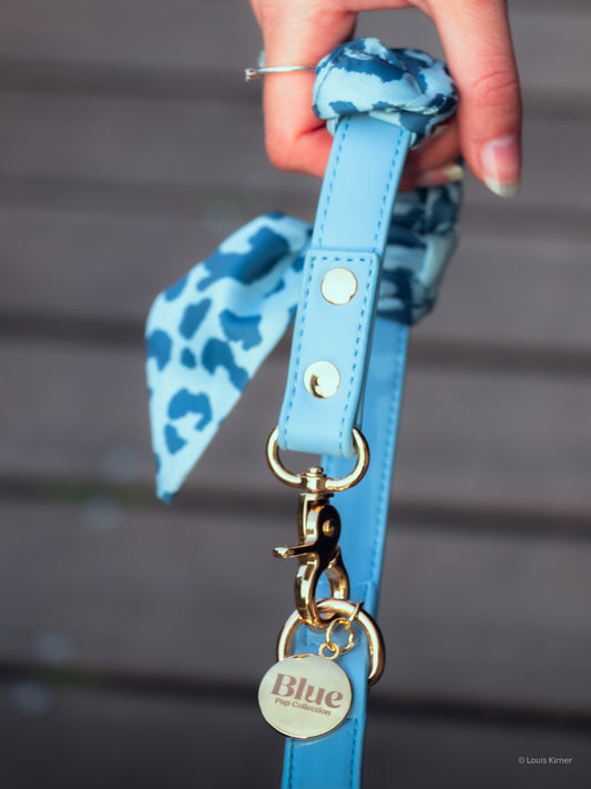 LAISSE MULTIPOSITON BANDANA - Bleu