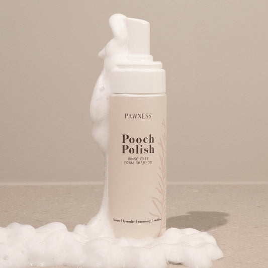 SHAMPOING SANS RINĂAGE POUR CHIENS