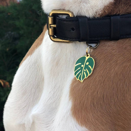 MÉDAILLE - Feuille