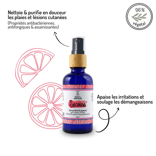 SOIN PURIFIANT ET ANTI-DEMANGEAISONS - Secours