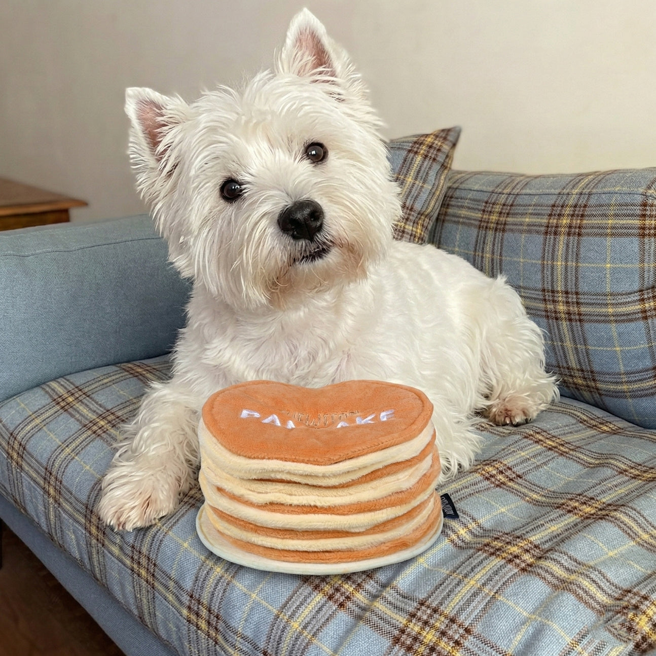 JOUET D’OCCUPATION - Crêpes