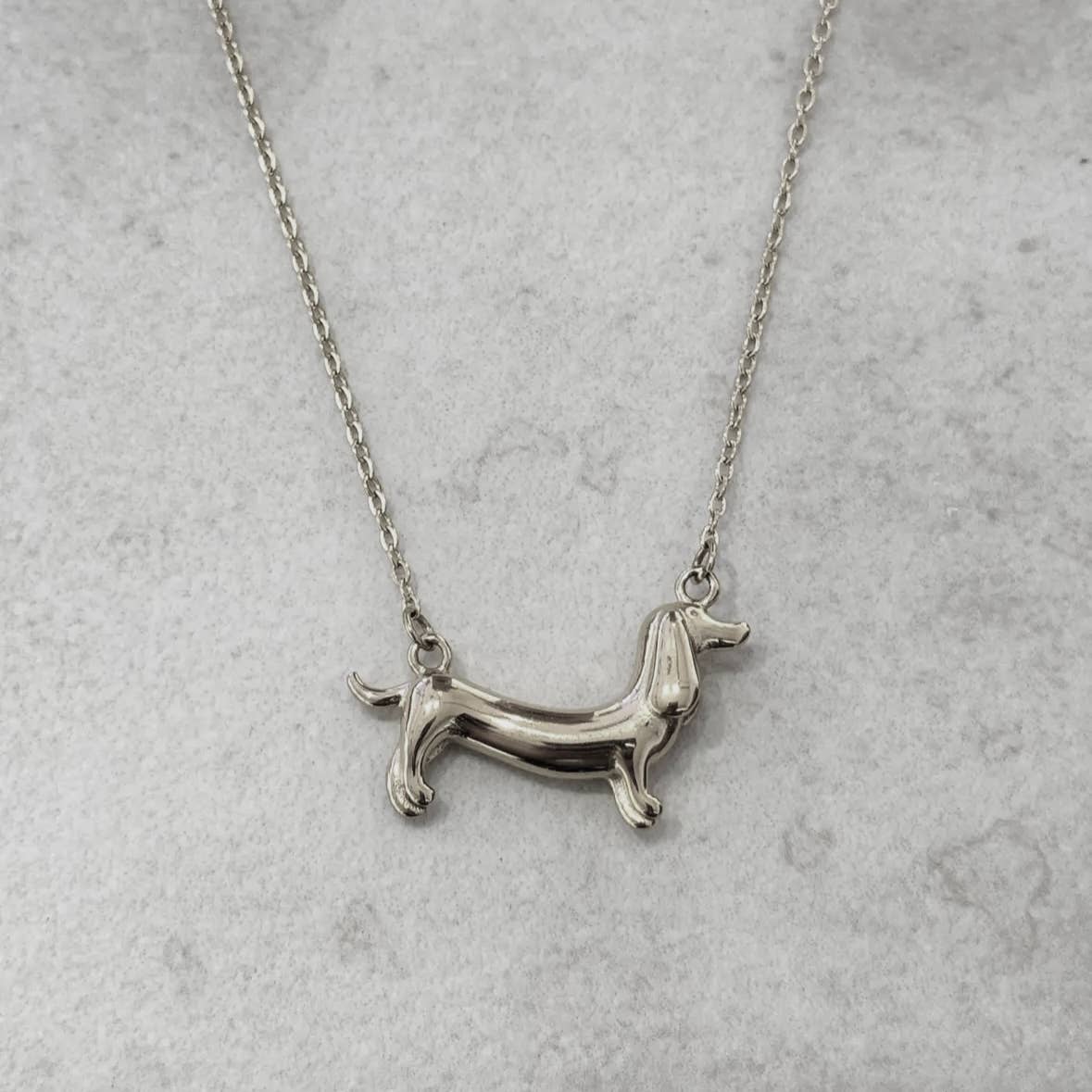 COLLIER TECKEL - Acier inoxydable