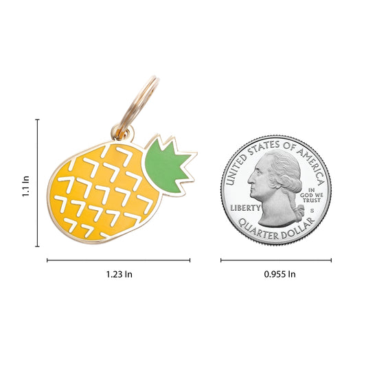MÉDAILLE - Ananas