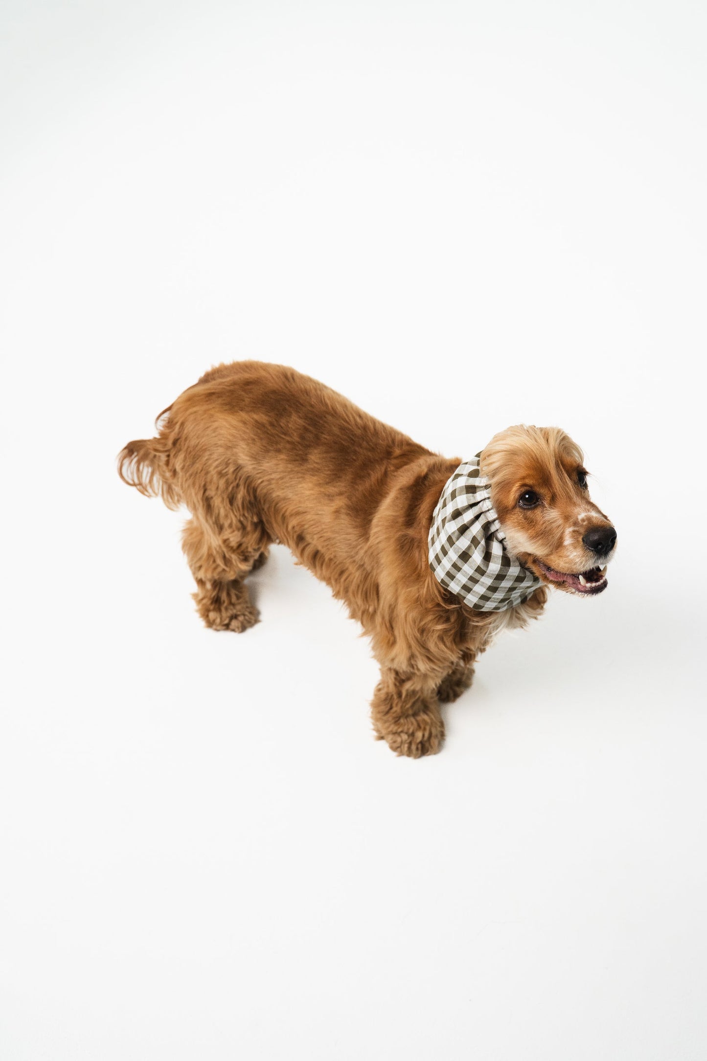 SNOOD EN COTON - Barcelona