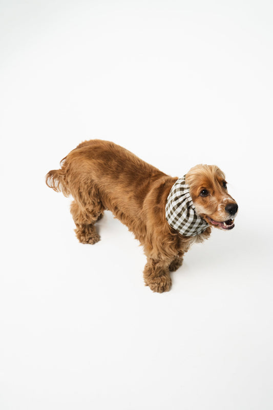 SNOOD EN COTON - Barcelona
