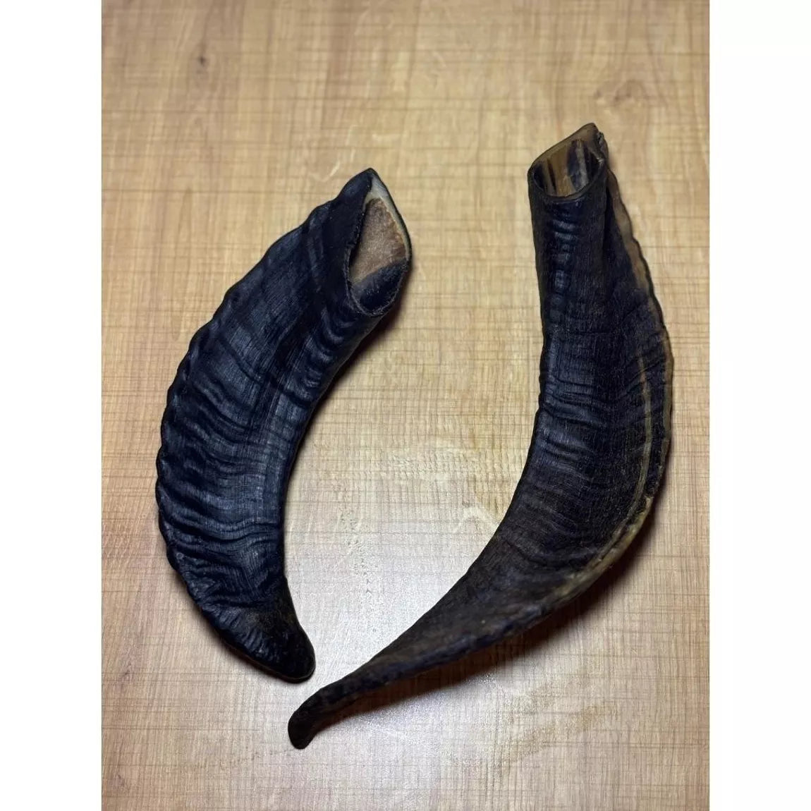 MASTICATION NATURELLE - Corne de mouton