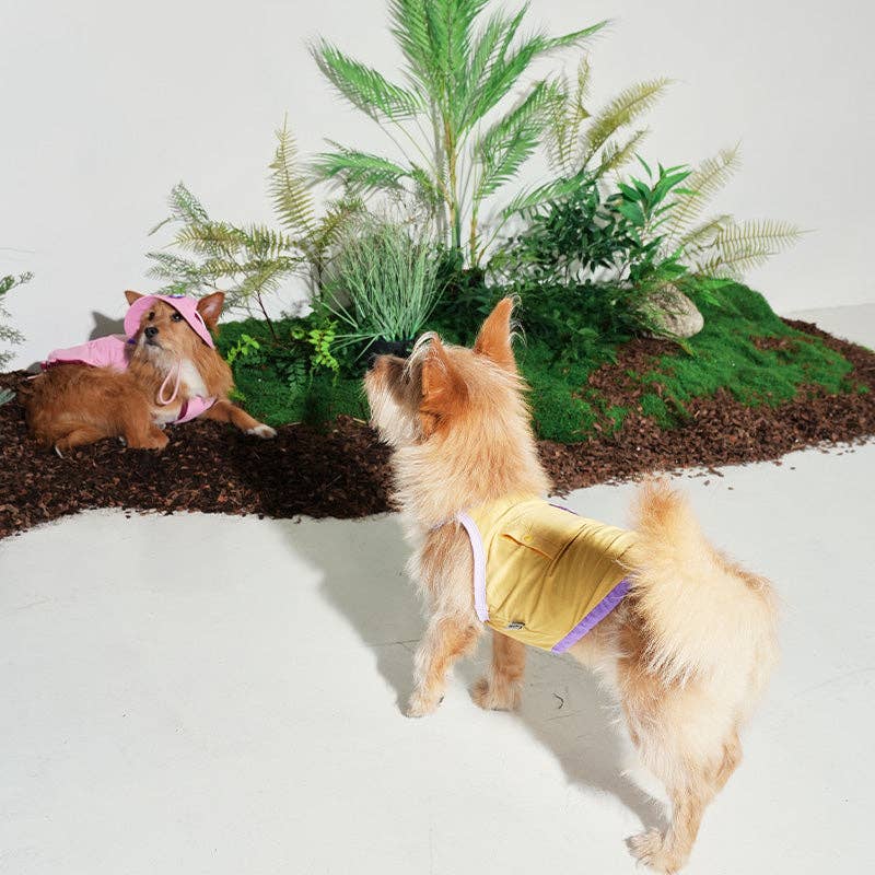 DÉBARDEUR RAFRAÎCHISSANT - Chiens