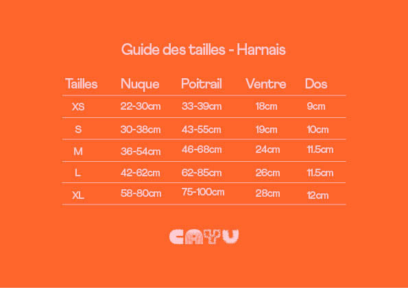 HARNAIS POUR CHIEN SHERPA - Cayu