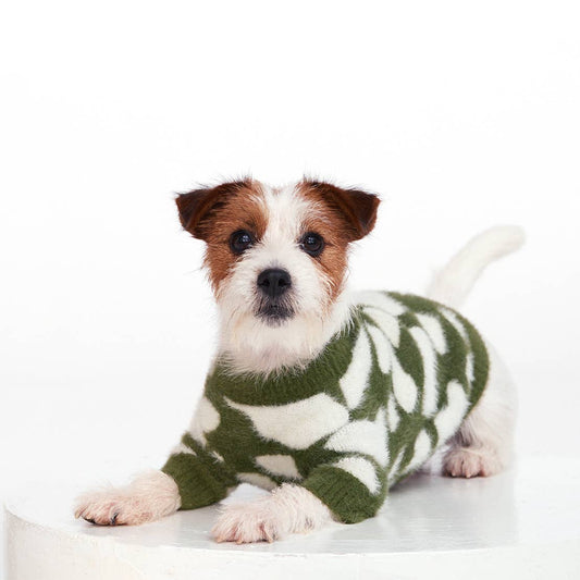 PULL POUR CHIENS ET CHATS - Nuage vert