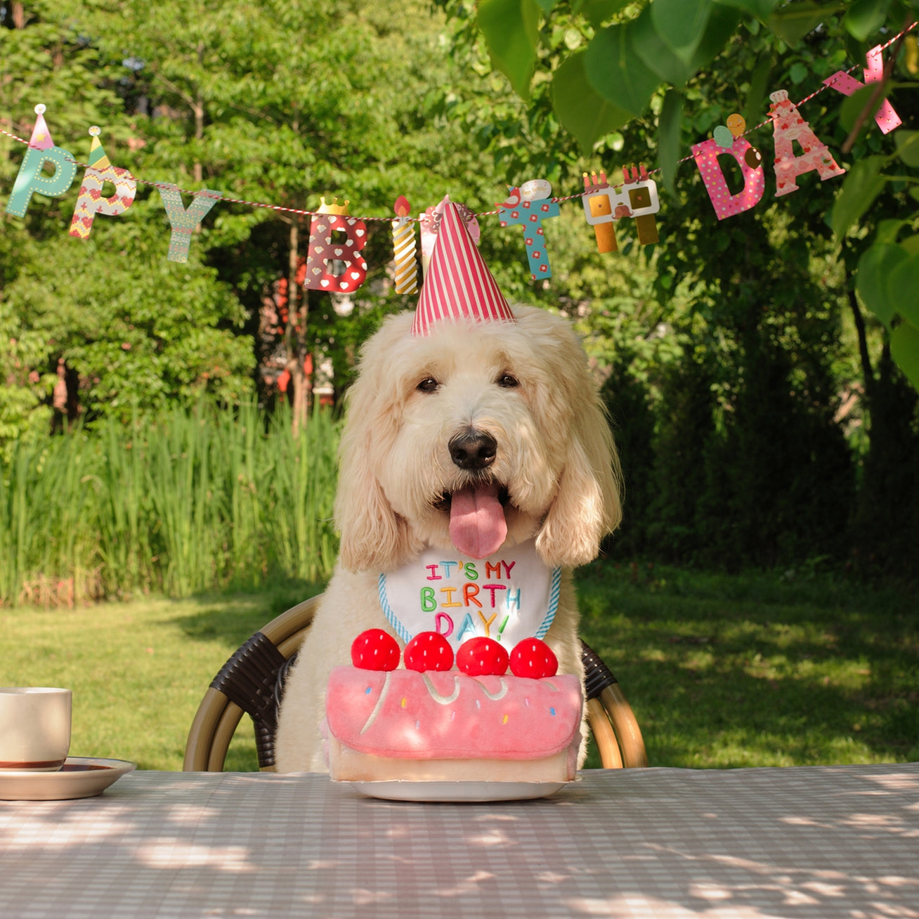 JOUET D’OCCUPATION - Roulé à la fraise