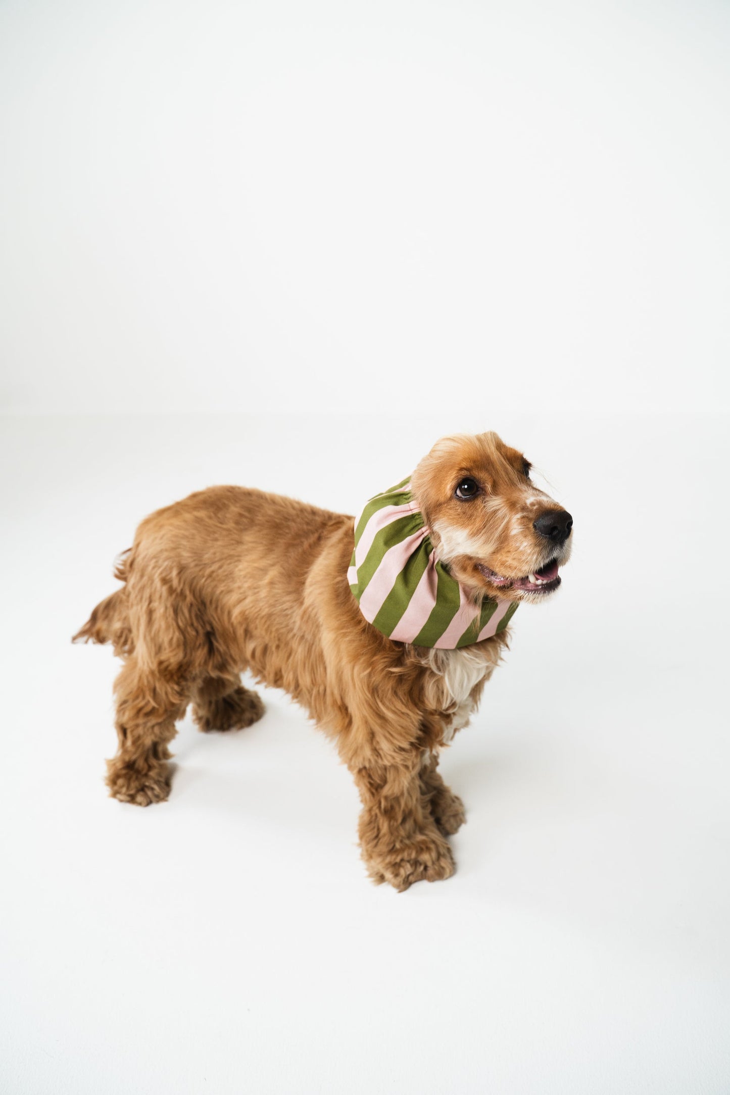 SNOOD EN COTON - Rayé vert et rose