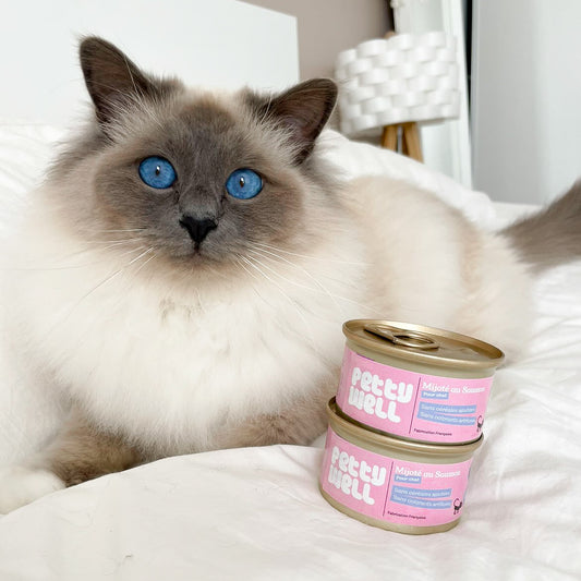 PÂTÉES POUR CHATS - Saumon