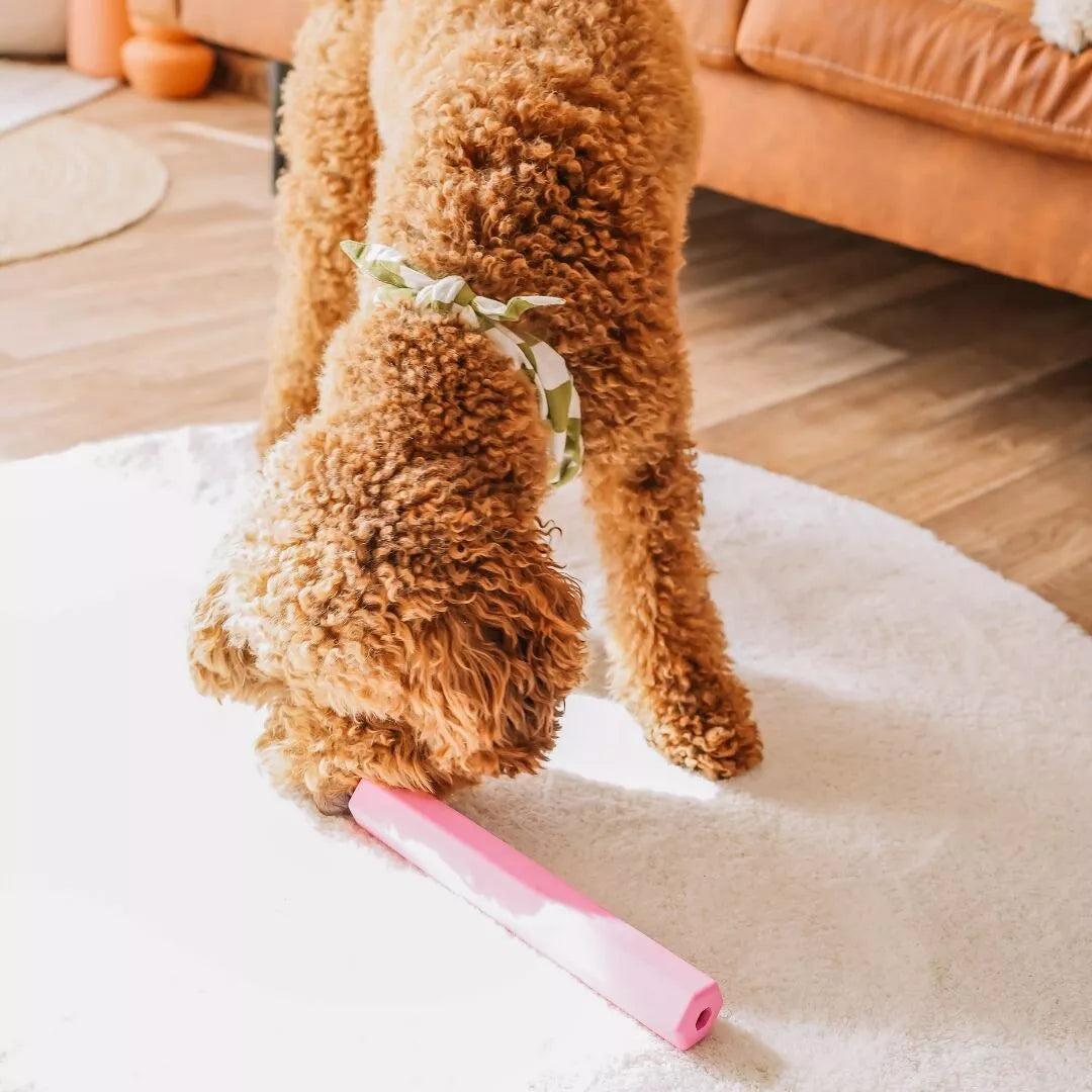 TUBES À FRIANDISES - Orange
