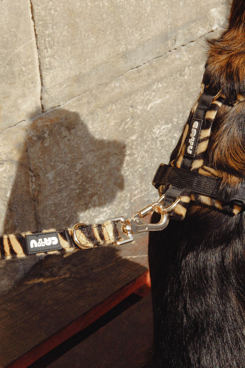 LAISSE MULTIPOSITION - Wild