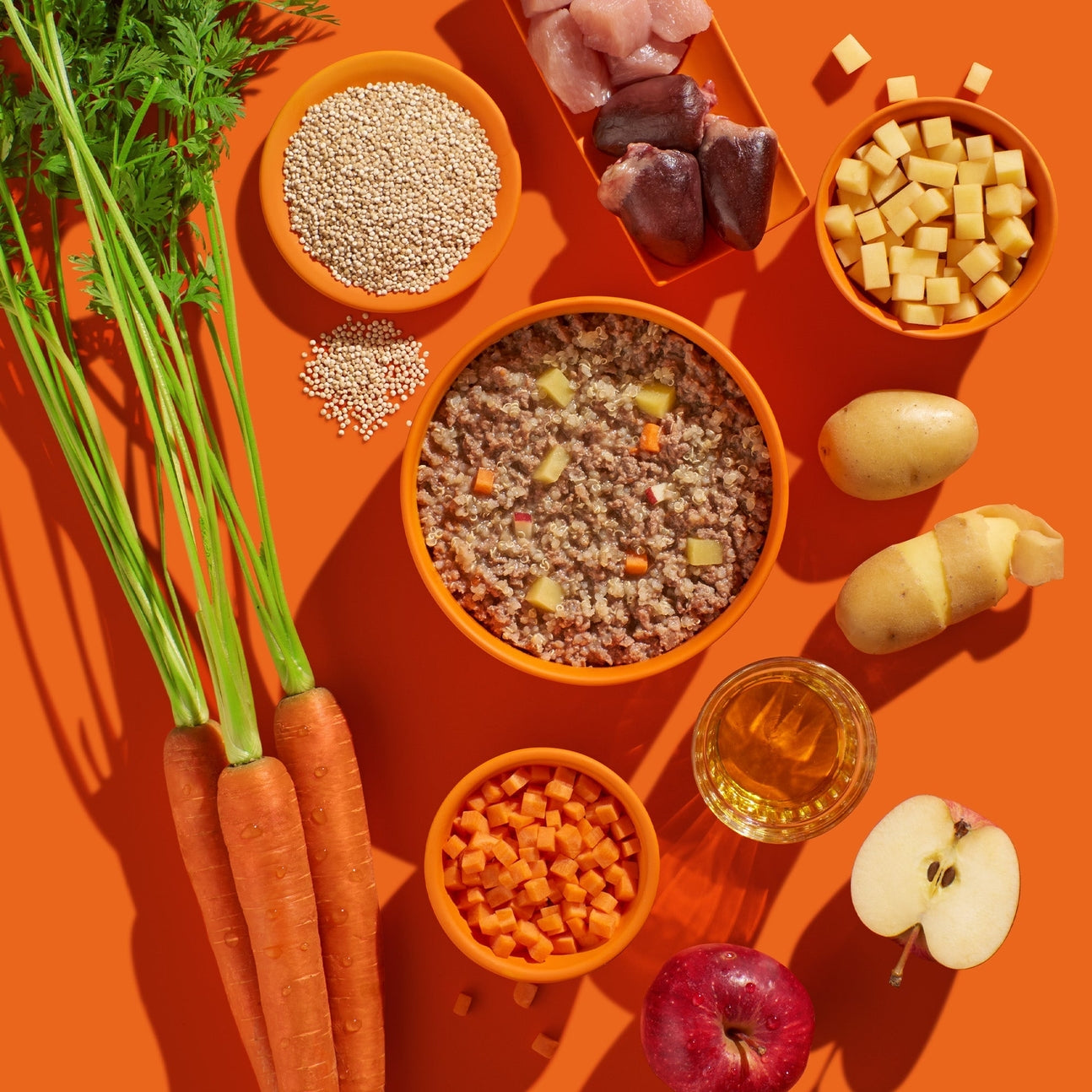 PÂTÉS POUR CHIEN - Dinde & Pomme de terre
