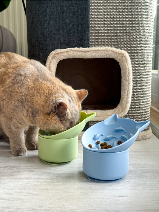 GAMELLE ANTI-GLOUTON POUR CHATS - Vieux rose