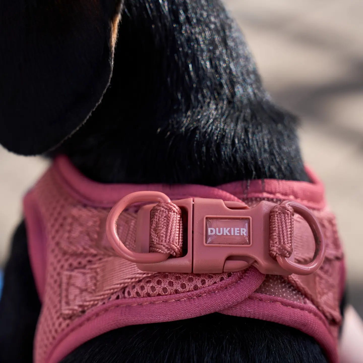 HARNAIS BODY - Terracotta