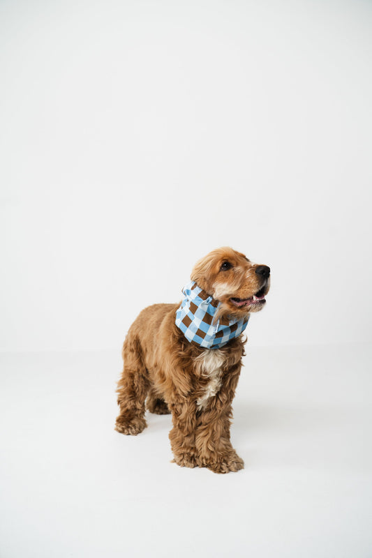 SNOOD EN COTON - Carreaux bleus et marrons
