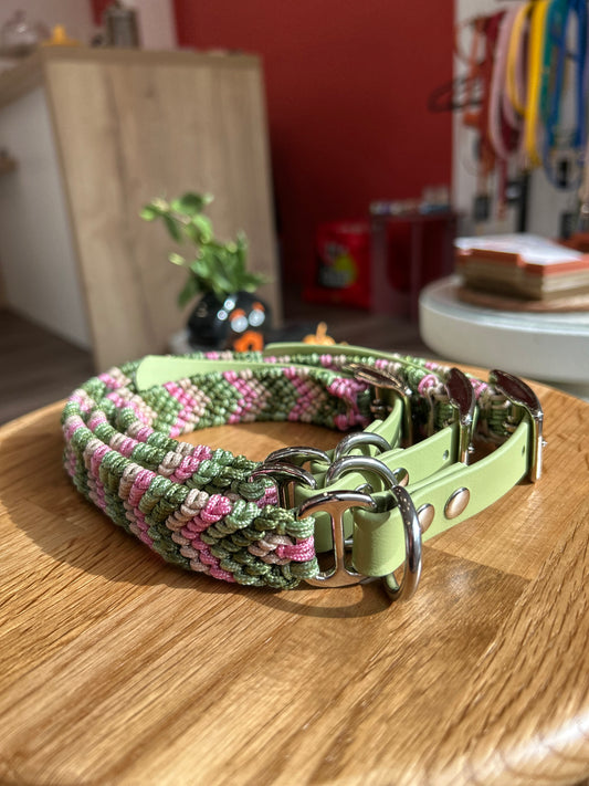 COLLIER POUR CHIEN - Opale vert et rose