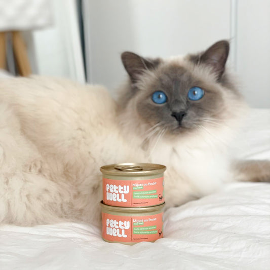PÂTÉES POUR CHATS - Poulet