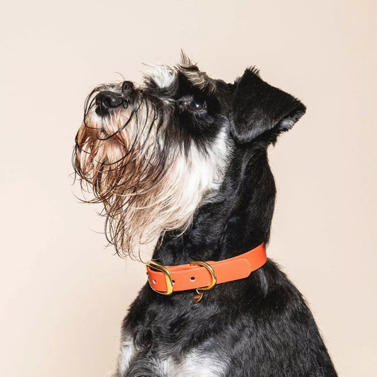 Collier imperméable - Terracota