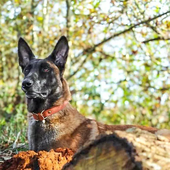 Collier imperméable - Terracota