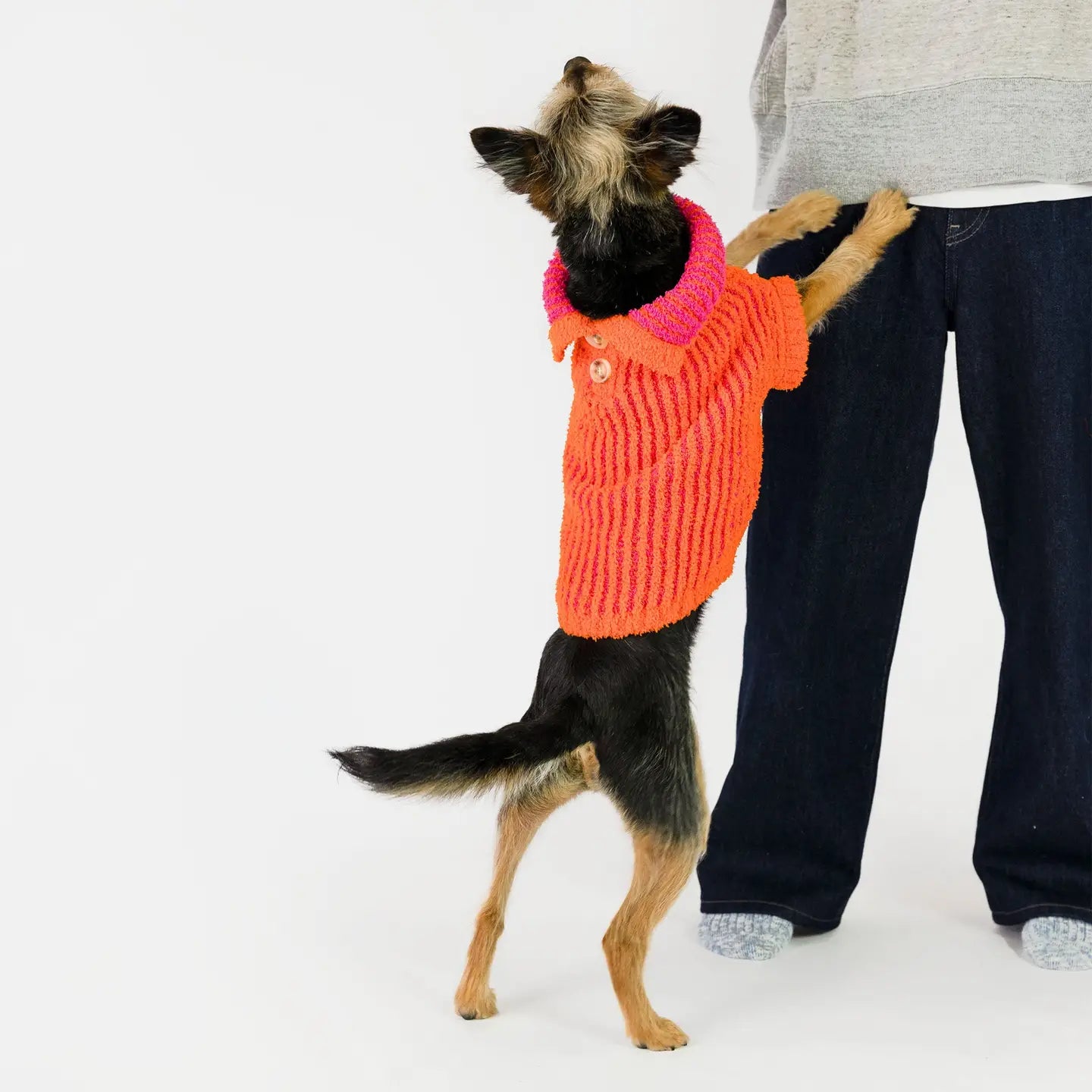 PULL - Côtelé orange/rose