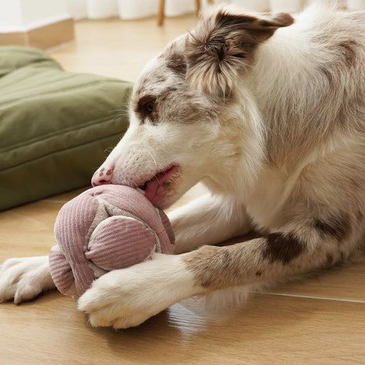 JOUET INTÉRACTIF - Monti rose