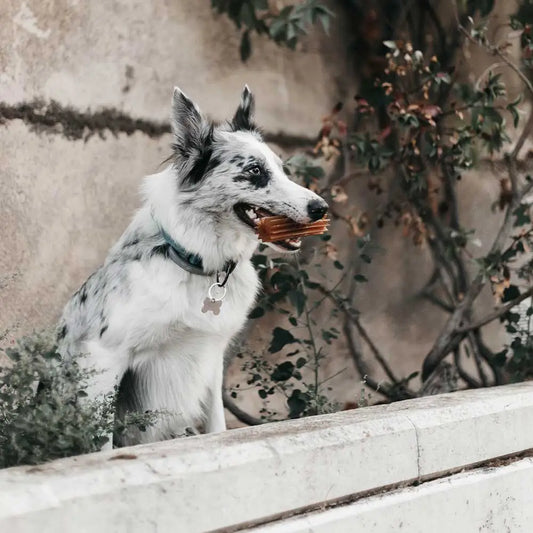 JOUET RÉSINE ORGANIQUE - Teether clean