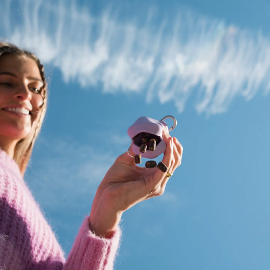 POCHETTE FRIANDISES - LILA