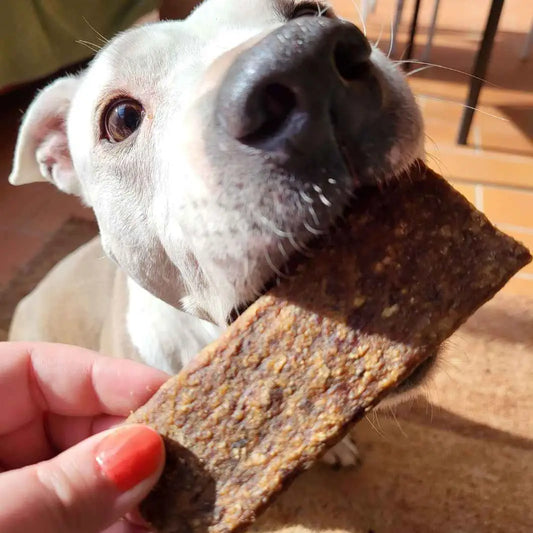 LAMELLES 100% NATURELLES - Boeuf