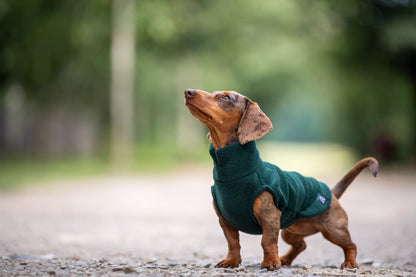 POLAIRE SPÉCIAL TECKEL - Vert sapin