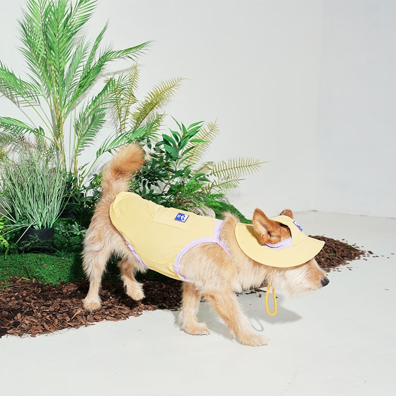 BOB RAFRAÎCHISSANT POUR CHIEN - 3 couleurs