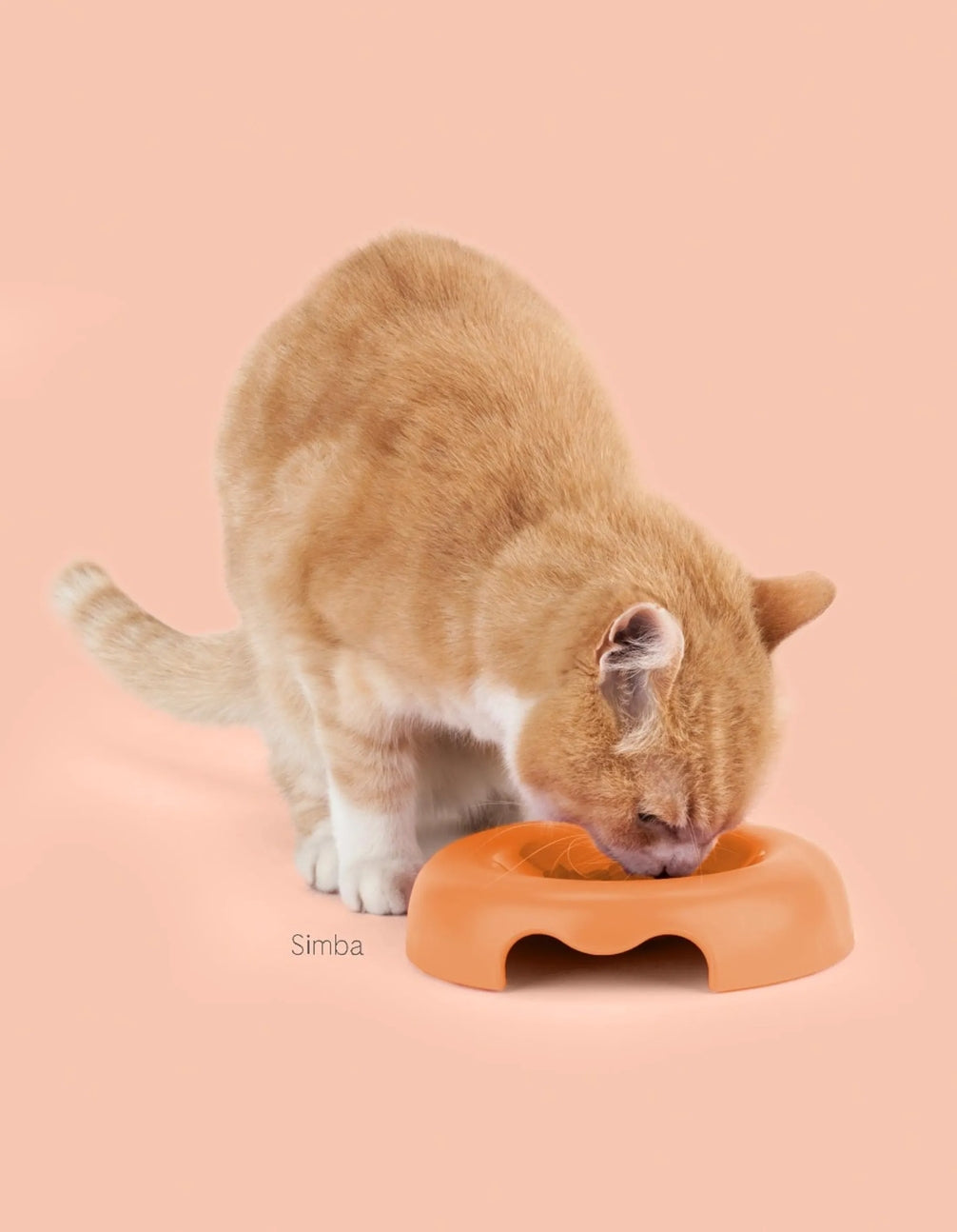 GAMELLE POUR CHATS - Orange