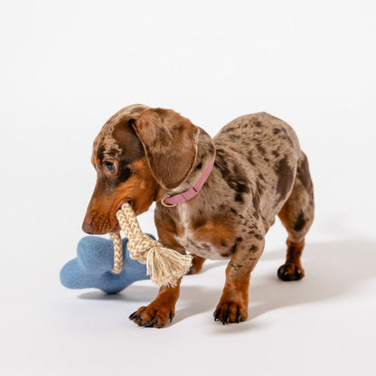 JOUET EN FEUTRINE - Étoile bleu