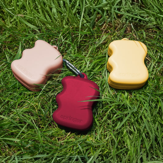 POCHETTE FRIANDISES - Citron