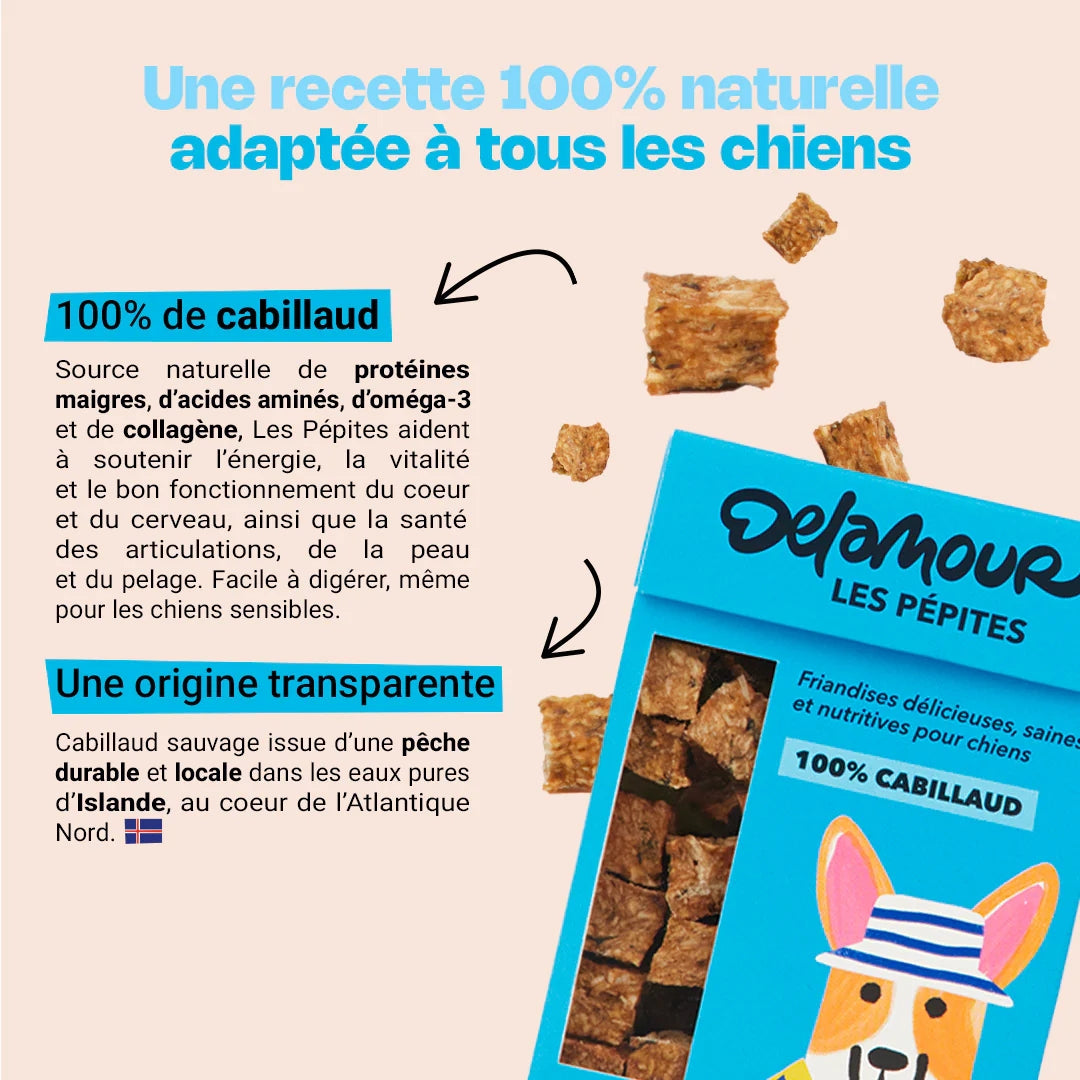 FRIANDISES PÉPITES - Cabillaud