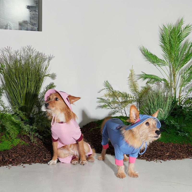 BOB RAFRAÎCHISSANT POUR CHIEN - 3 couleurs