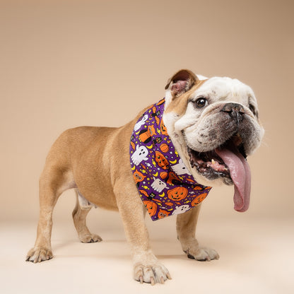 BANDANA - Boo