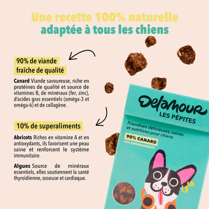 FRIANDISES PÉPITES - Canard