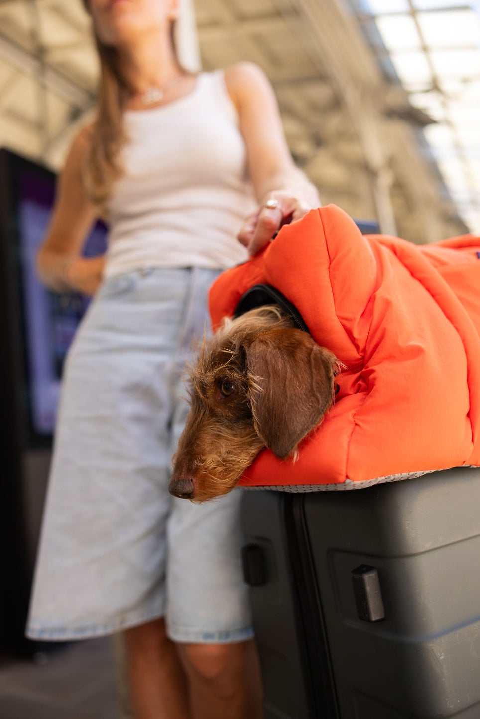 SAC DE VOYAGE POUR CHIENS ET CHATS - Orange