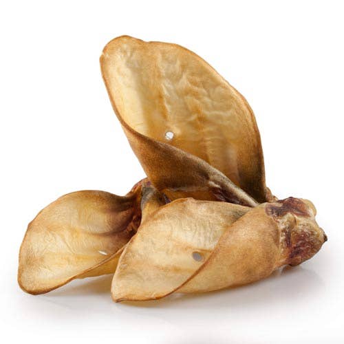 MASTICATION NATURELLE - Oreille de bœuf