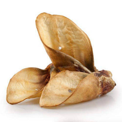 MASTICATION NATURELLE - Oreille de bœuf