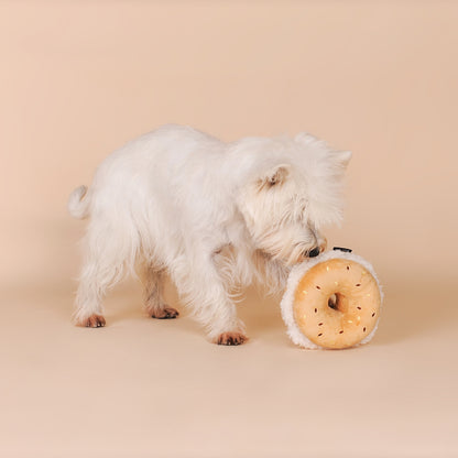 JOUET D’OCCUPATION - Bagel
